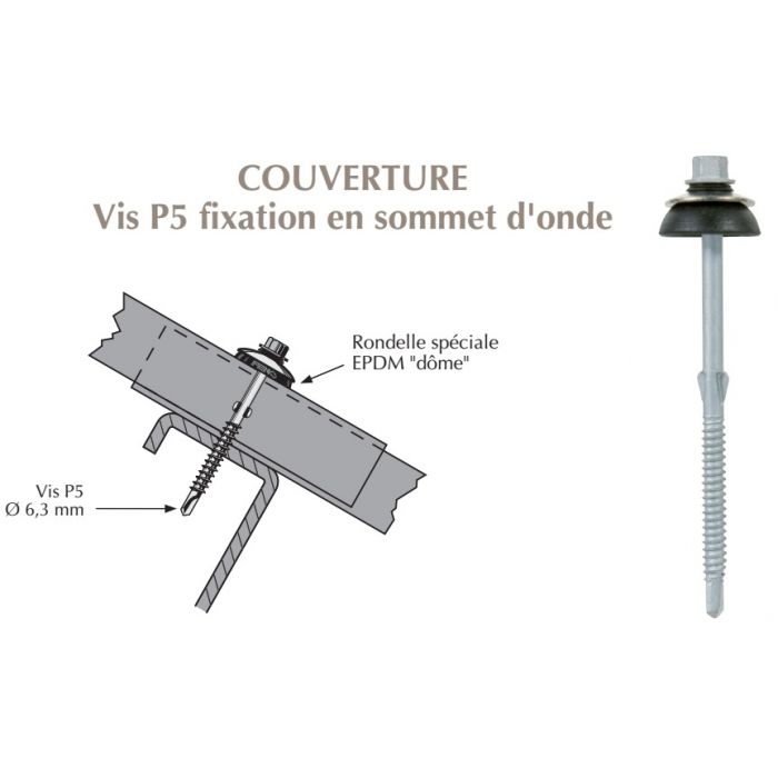 Vis P5 6,3 × 105 à ailettes avec dôme TK12